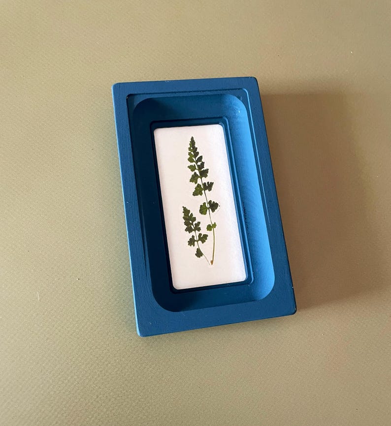 May include: A rectangular, blue resin tray with a white insert. The insert features a pressed fern with green leaves. The tray is set against a light green background.