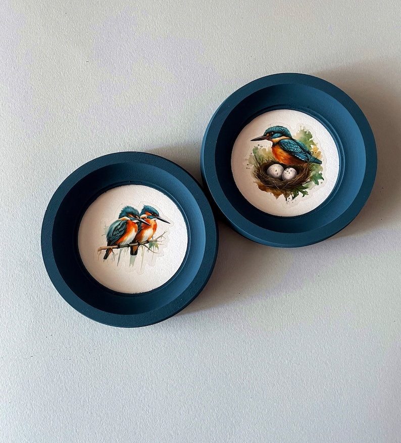 May include: Two dark blue round picture frames with white mats. One frame features a painting of a kingfisher with its nest and eggs. The other frame features a painting of two kingfishers perched on a branch.