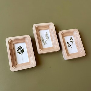 May include: Three rectangular wooden frames with a layered design. Each frame holds a white background with a pressed green fern. The frames are arranged on a muted green surface, showcasing a natural, botanical theme.