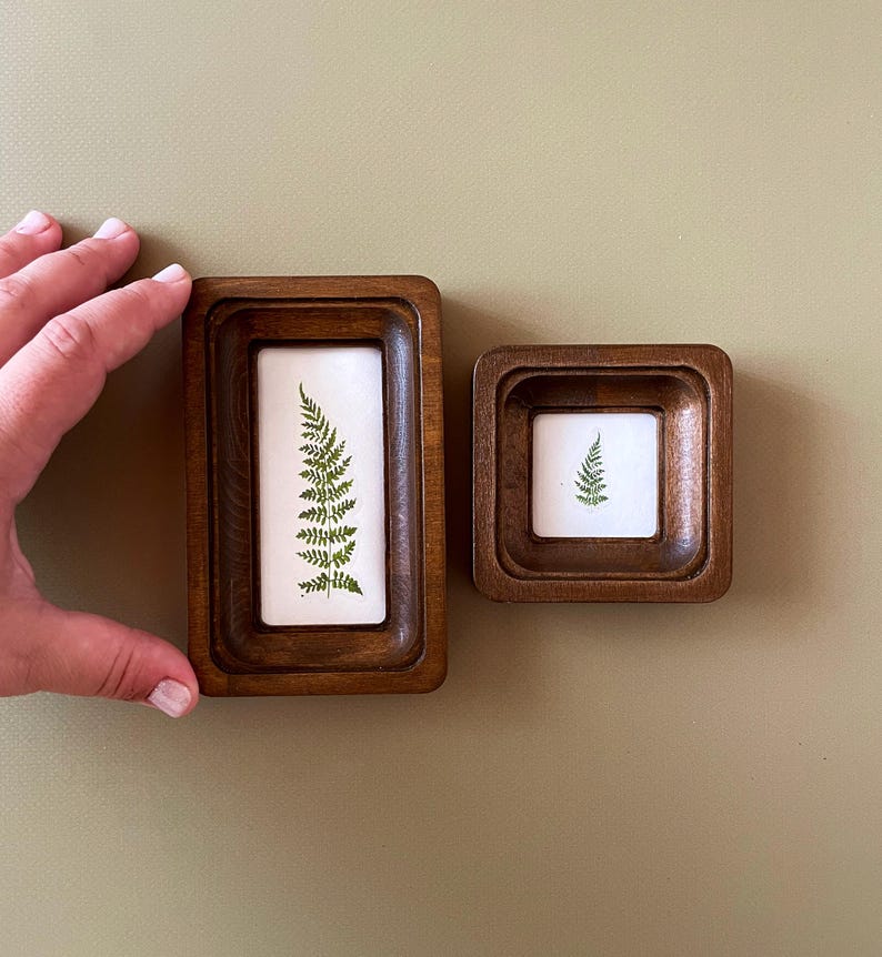 May include: Two small, wooden framed botanical art pieces. The frames are a dark brown color and have a rectangular and square shape. Each frame contains a white background with a green fern leaf. The frames are displayed on a light green surface.