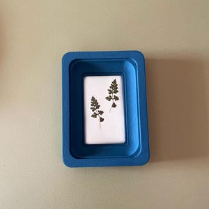 May include: A small, rectangular, blue frame with a white interior. Two dried green fern leaves are displayed on the white background. The frame is made of a solid material and has rounded corners.
