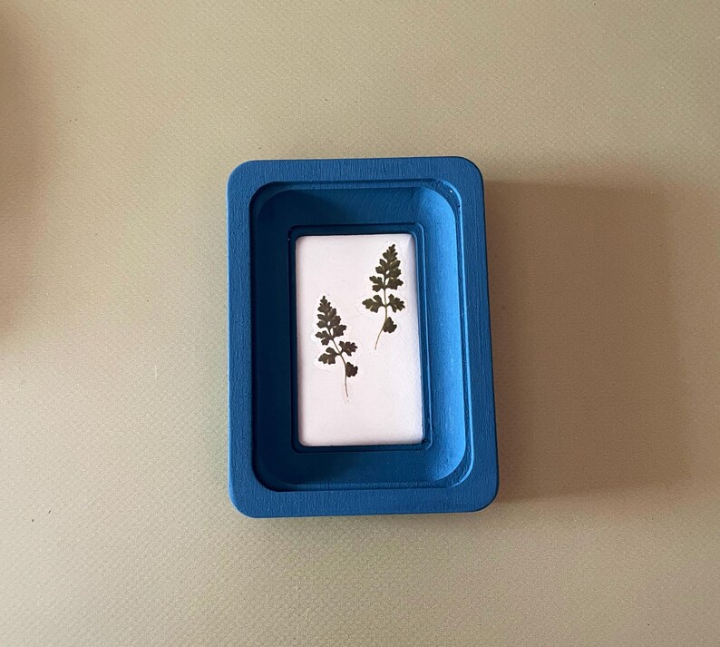 May include: A small, rectangular, blue frame with a white interior. Two dried green fern leaves are displayed on the white background. The frame is made of a solid material and has rounded corners.