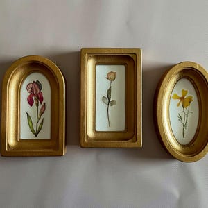 May include: Three gold-framed pressed flower art pieces. The frames are in arched, rectangular, and oval shapes. Each frame contains a different pressed flower against a white background. The flowers are a red iris, a rose, and a yellow flower.