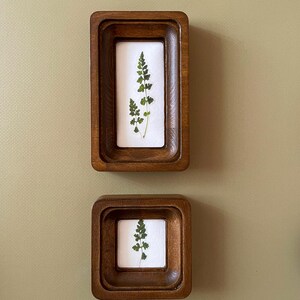 May include: Two wooden framed botanical art pieces. Each frame is a warm brown color and contains a pressed green fern on a white background. The frames are rectangular and square, and are mounted on a light green wall.