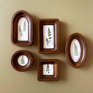May include: A collection of five wooden frames in various shapes: arched, rectangular, oval, circular, and square. Each frame contains a pressed fern leaf on a white background. The frames are arranged against a muted green wall.