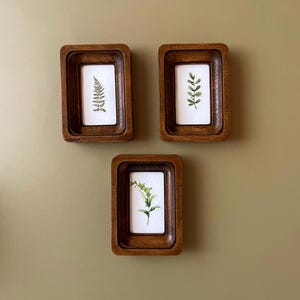 May include: Three rectangular wooden frames with botanical prints. Each frame has a dark brown finish and a recessed design. The prints feature delicate green leaves and ferns on a white background, creating a natural aesthetic.