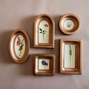 May include: A collection of six copper-colored framed botanical prints. The frames are in various shapes: oval, arched, round, and rectangular. Each frame contains a pressed flower or plant specimen, showcasing a variety of colors and floral arrangements.