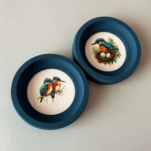 May include: Two dark blue round picture frames with white mats. One frame features a painting of two kingfishers perched on a branch. The other frame features a painting of a kingfisher sitting on a nest with eggs.