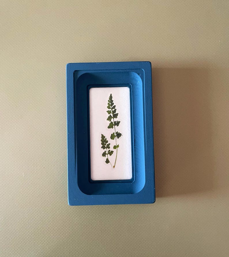May include: A rectangular, blue-painted wooden frame encases a white rectangle with a pressed green fern. The fern's delicate leaves are visible against the white background. The frame is a solid, vibrant blue.