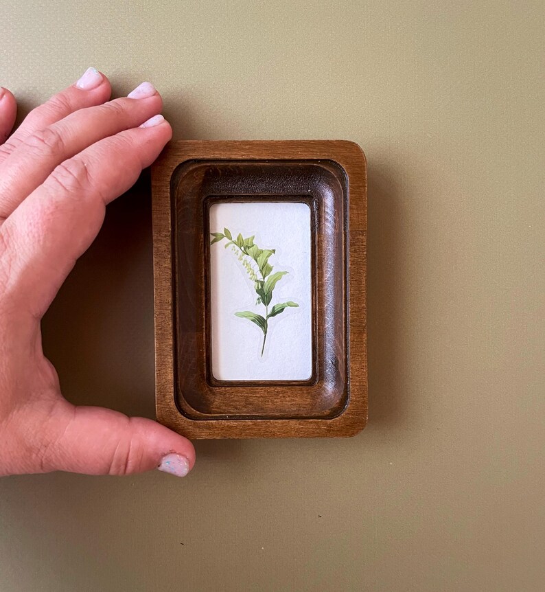 Puede incluir: Un peque&ntilde;o marco rectangular de madera con acabado marr&oacute;n oscuro. El marco contiene una impresi&oacute;n bot&aacute;nica de una planta verde con flores blancas sobre un fondo blanco. El marco est&aacute; sostenido por una mano.
