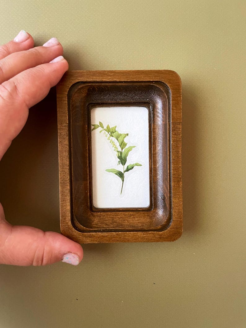 May include: A small, rectangular wooden frame with a dark brown finish. The frame contains a botanical print of a green plant with white flowers on a white background. The frame is held by a hand.