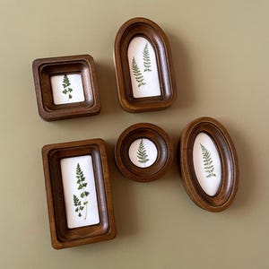 May include: A collection of six small, wooden picture frames in various shapes, each containing a pressed fern on a white background. The frames are arranged on a light green surface.