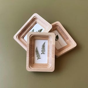 以下が含まれることがあります： 3つの木製フォトフレーム。各フレームには、押し葉のシダが入った白いプリントが収められています。フレームは明るい色の木材で作られており、くすんだ緑色の表面に配置されています。