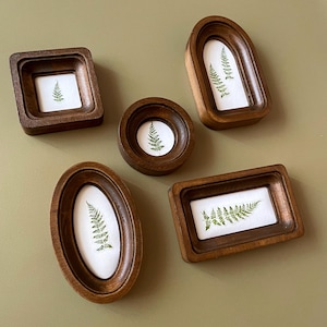 May include: A collection of five wooden frames in various shapes: square, round, arched, oval, and rectangular. Each frame contains a pressed fern leaf on a white background. The frames are a warm brown color.
