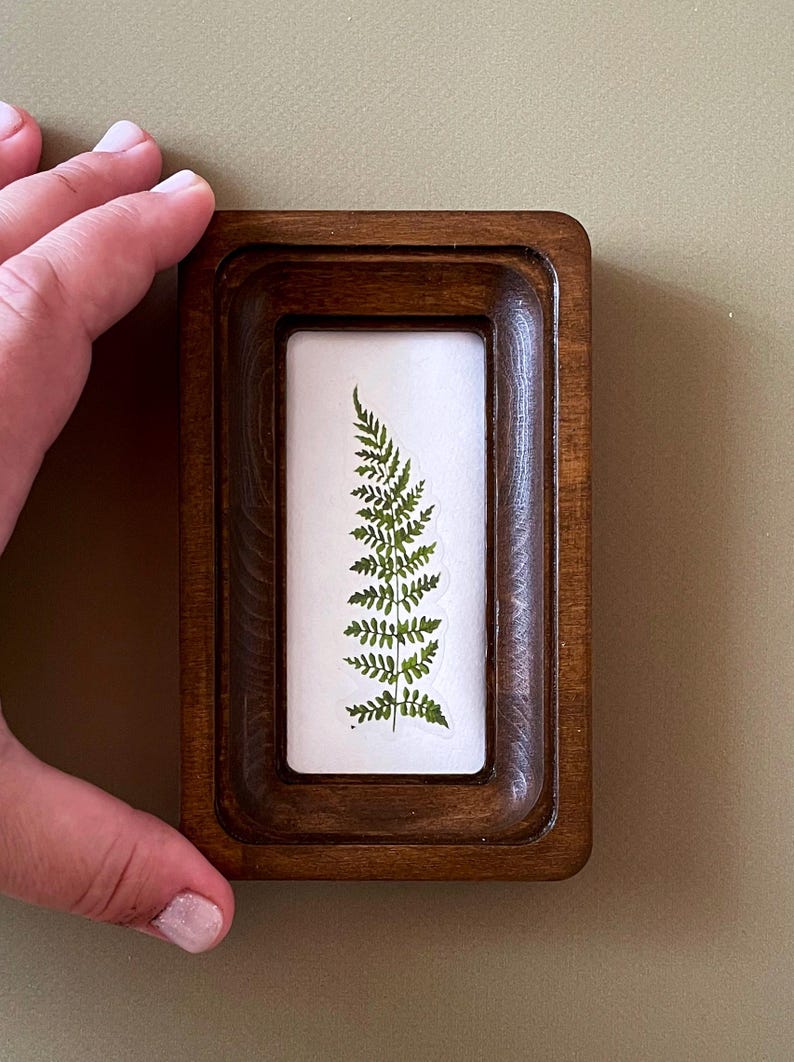May include: A small, rectangular wooden frame with a dark brown finish. Inside, a pressed green fern is displayed against a white background. The frame is held by a hand, showcasing the natural elements of the artwork.
