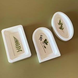 May include: Three white, decorative trays in rectangular, arched, and oval shapes. Each tray features a pressed botanical design, including ferns and sprigs with green leaves. The trays are arranged on a muted green surface.