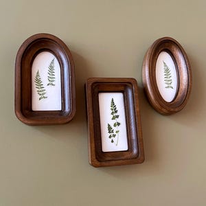 May include: Three dark brown wooden frames containing pressed green fern leaves on white backgrounds. The frames consist of one arched shape, one rectangular shape, and one oval shape, each featuring a recessed border around the central artwork.