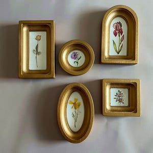 Puede incluir: Cinco pequeños marcos dorados de varias formas, cada uno con una flor prensada sobre un fondo blanco. Los marcos incluyen diseños rectangulares, circulares, arqueados, ovalados y cuadrados. Las flores son en tonos de amarillo, morado y rojo.
