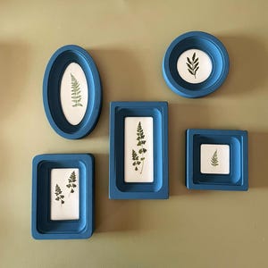 Pode incluir: Uma coleção de cinco peças de arte botânica emolduradas em azul. Cada moldura contém uma samambaia ou folha prensada contra um fundo branco. As molduras têm várias formas, incluindo oval, redonda, retangular e quadrada, e são montadas em uma parede verde claro.