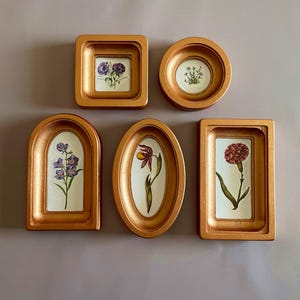 May include: Six gold-colored framed botanical prints in various shapes: square, round, arched, oval, and rectangular. Each frame contains a different watercolor illustration of a flower, showcasing a variety of colors and floral designs.