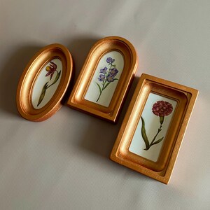 May include: Three decorative gold-colored frames with floral artwork. The frames are in oval, arched, and rectangular shapes. Each frame features a different flower: a red and yellow orchid, purple flowers, and a red carnation. The artwork is set against a white background.