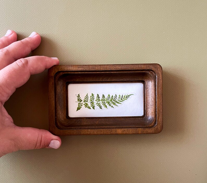 Op de afbeelding: Een kleine, rechthoekige houten lijst met een geperst groen varenblad op een witte achtergrond. De lijst heeft een donkerbruine afwerking en een verzonken binnenrand. De varen is gecentreerd en toont zijn delicate bladeren.