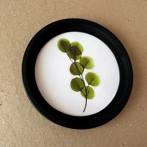 以下が含まれることがあります： 繊細な茎を持つ緑の葉の枝を特徴とする、額装された押し葉アート作品です。