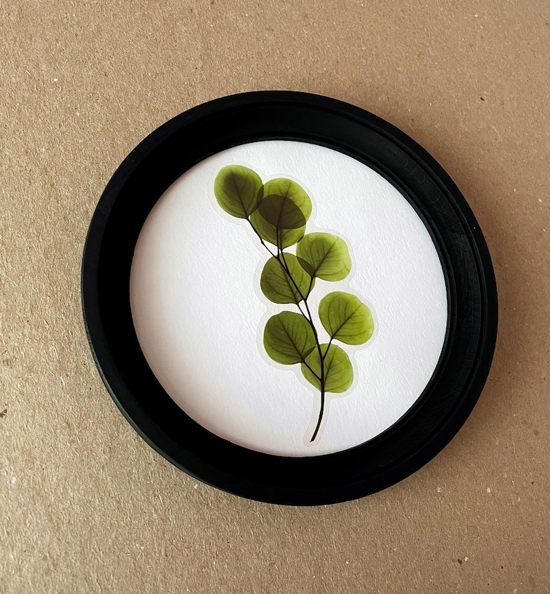 以下が含まれることがあります： 繊細な茎を持つ緑の葉の枝を特徴とする、額装された押し葉アート作品です。
