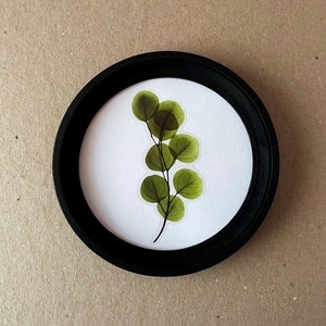 May include: A framed pressed leaf art print with a black frame and a white background. The leaves are green and have a translucent appearance.