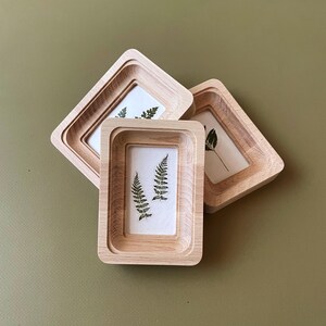 Pode incluir: Três molduras de madeira com um design em camadas. Cada moldura contém uma impressão branca com uma samambaia prensada. As molduras são feitas de madeira de cor clara e estão dispostas sobre uma superfície verde suave.