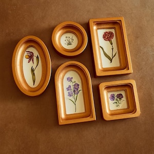 May include: A collection of five gold-colored picture frames in various shapes, each containing a botanical illustration of a flower. The frames are oval, round, rectangular, arched, and square, arranged on a brown surface.