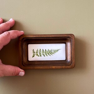 May include: A small, rectangular wooden frame with a recessed interior. Inside, a fern frond is displayed against a white background. The frame is held by a hand against a neutral-toned backdrop. The fern is a vibrant green.