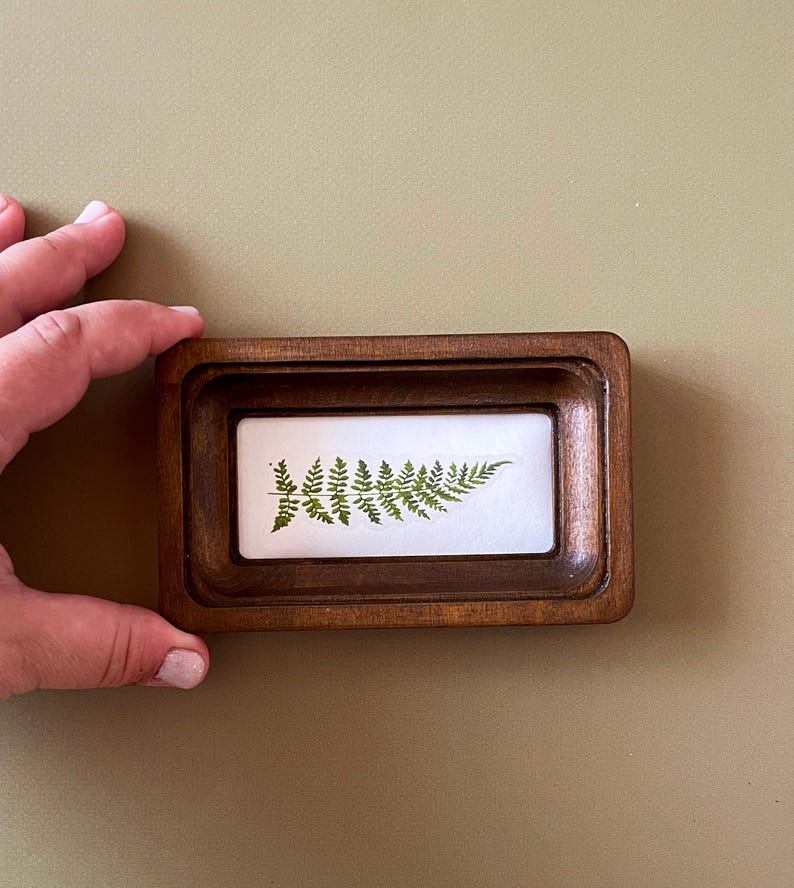 May include: A small, rectangular wooden frame with a recessed interior. Inside, a fern frond is displayed against a white background. The frame is held by a hand against a neutral-toned backdrop. The fern is a vibrant green.