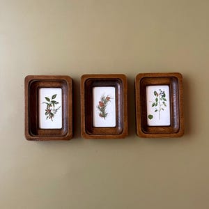 May include: Three small, rectangular wooden frames with botanical prints. Each frame has a dark brown, ridged border. The prints feature detailed illustrations of plants with green leaves and red berries on a white background. The frames are arranged horizontally.