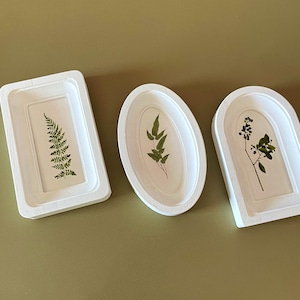 May include: Three white resin trays with botanical inclusions. The trays are rectangular, oval, and arched, each containing a different pressed plant specimen in shades of green. The background is a solid olive green.