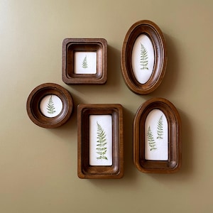 May include: Five wooden picture frames with a fern pressed inside each one. The frames are all different shapes and sizes, and they are arranged in a cluster on a light brown wall.