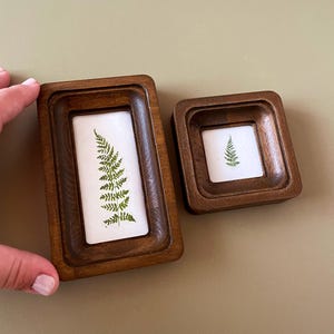 May include: Two wooden frames, one rectangular and one square, each containing a pressed fern. The frames are a warm brown color, and the ferns are a vibrant green. The frames are set against a neutral background.