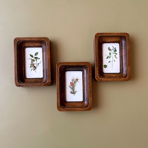 May include: Three rectangular wooden frames with botanical prints. Each frame has a dark brown, ridged border. The prints feature detailed illustrations of plants with green leaves and red berries on a white background.
