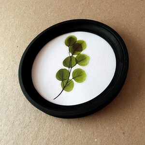 以下が含まれることがあります： 白い背景に押し花された緑の葉の枝が描かれた、黒い枠の丸い絵