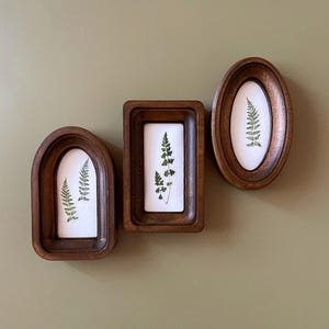 May include: Three wooden framed botanical art pieces. The frames are various shapes: arched, rectangular, and oval. Each frame contains a pressed fern on a white background. The frames are a warm brown color, and the background is a muted green.