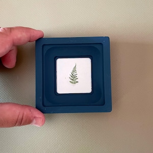 Könnte beinhalten: Ein quadratisches, tiefblaues Tablett enthält ein kleineres weißes Quadrat mit einem grünen Farn-Design. Der Farn ist auf dem weißen Quadrat zentriert. Das Tablett wird von einer Hand gehalten.