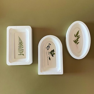 Pode incluir: Três obras de arte botânica emolduradas em branco. As molduras são retangulares, arqueadas e ovais, cada uma contendo plantas prensadas. A moldura retangular contém uma samambaia, a moldura arqueada bagas e a moldura oval folhas. O fundo é verde.