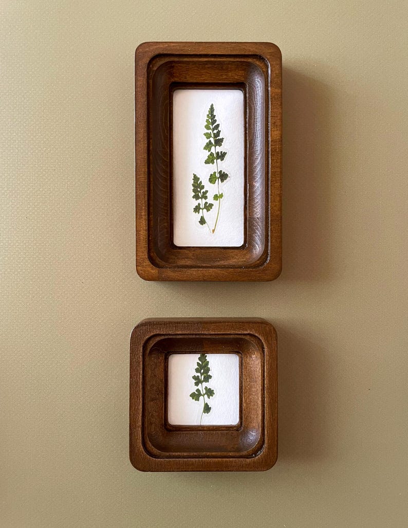 May include: Two wooden framed pressed fern art pieces. The frames are a dark brown color with a rectangular and square shape. The fern is green and is set against a white background.