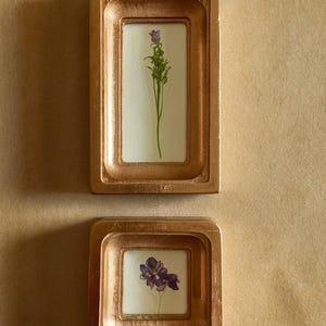 May include: Two copper-colored frames, one rectangular and one square, each containing a pressed flower. The rectangular frame holds a tall, green-stemmed flower with a purple bloom. The square frame displays a cluster of purple flowers.