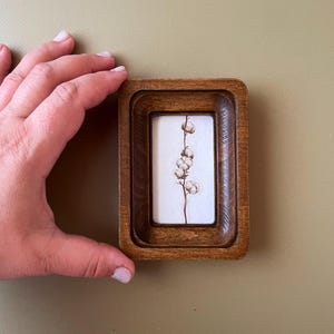 May include: A small, rectangular wooden frame with a recessed design. Inside, a white background displays a delicate botanical illustration of a cotton plant. The frame is held by a hand, showcasing the size and detail of the artwork.