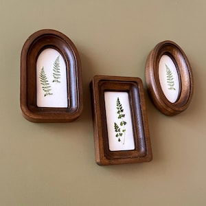 May include: Three wooden framed pressed fern art pieces. The frames are various shapes: arched, rectangular, and oval. The ferns are green and set against a white background. The frames are a dark brown color.