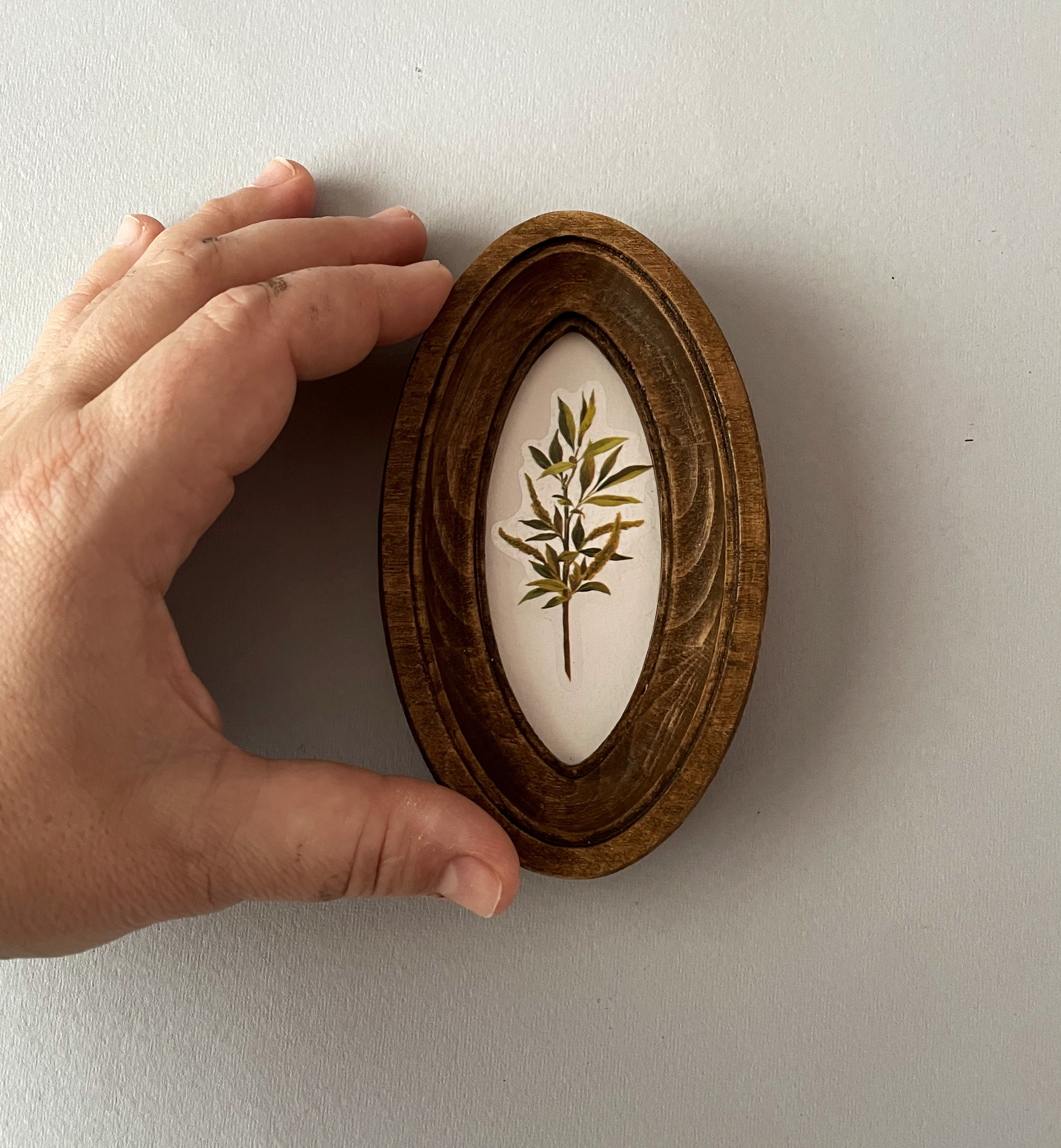 Small Oval Frame Size 2 X 4 Inches Brown Photo Frame, Mini Oval