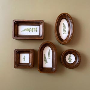 May include: A collection of six wooden framed botanical art pieces. Each frame is a different shape, including rectangular, oval, square, arched, and circular. The art features pressed green fern leaves on a white background.
