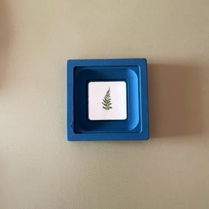 Può includere: Un vassoio quadrato in cemento blu con un inserto quadrato bianco. L'inserto presenta un'illustrazione di felce verde. Il vassoio è un oggetto decorativo, adatto per contenere piccoli oggetti o come elemento espositivo.