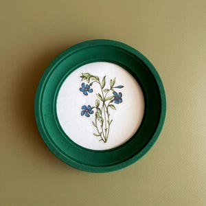 May include: A small, round, green frame surrounds a botanical illustration of blue flowers and green leaves on a white background. The frame is made of a dark green material and sits on a light green surface.